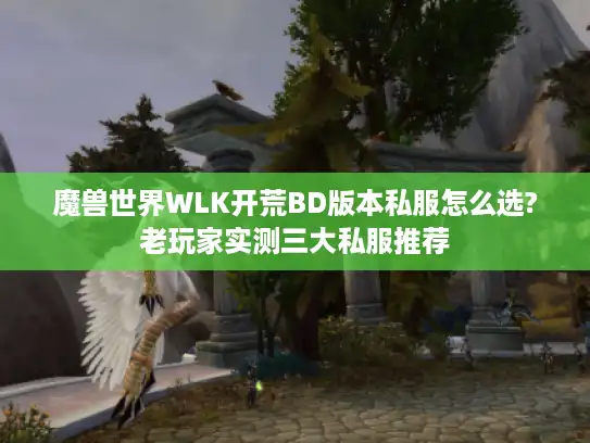 魔兽世界WLK开荒BD版本私服怎么选?老玩家实测三大私服推荐