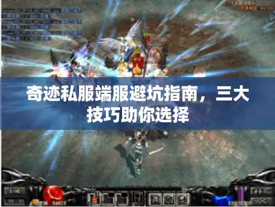 奇迹私服端服避坑指南,三大技巧助你选择 奇迹私服端服避坑指南,三大技巧助你选择