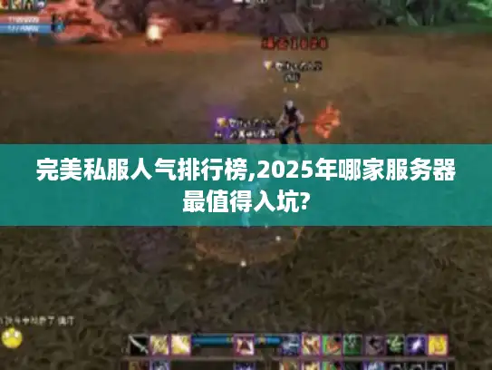 完美私服人气排行榜,2025年哪家服务器最值得入坑? 完美私服人气排行榜,2025年哪家服务器最值得入坑?