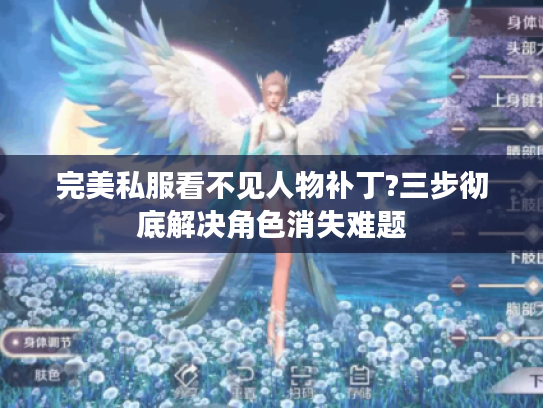 完美私服看不见人物补丁?三步彻底解决角色消失难题