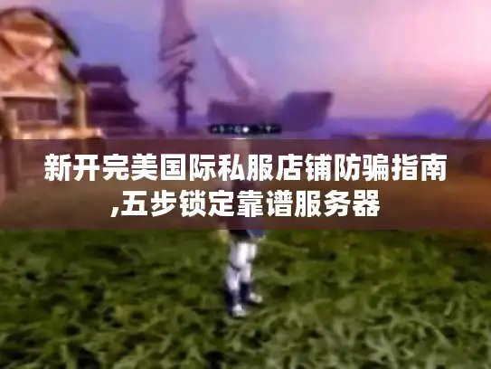 新开完美国际私服店铺防骗指南,五步锁定靠谱服务器 新开完美国际私服店铺防骗指南,五步锁定靠谱服务器
