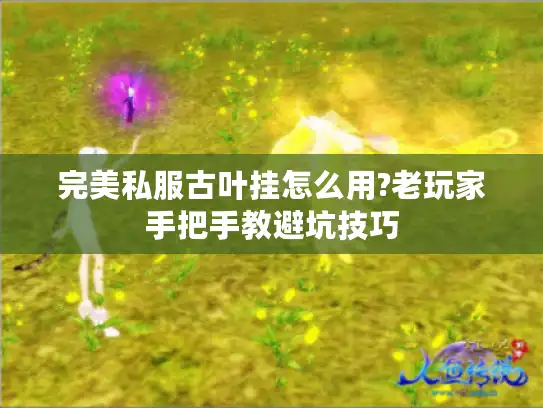 完美私服古叶挂怎么用?老玩家手把手教避坑技巧 完美私服古叶挂怎么用?老玩家手把手教避坑技巧