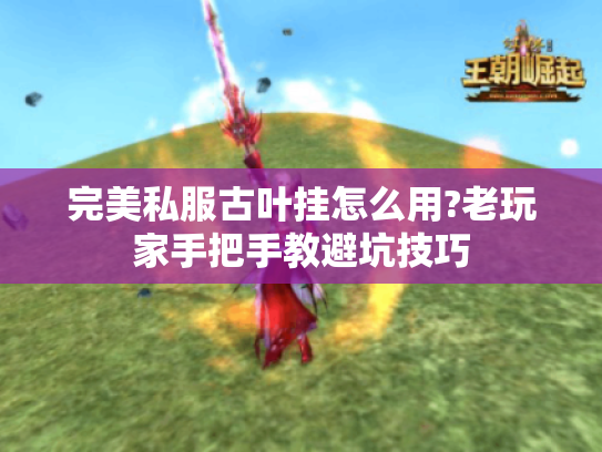 完美私服古叶挂怎么用?老玩家手把手教避坑技巧 完美私服古叶挂怎么用?老玩家手把手教避坑技巧