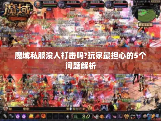 魔域私服没人打击吗?玩家最担心的5个问题解析