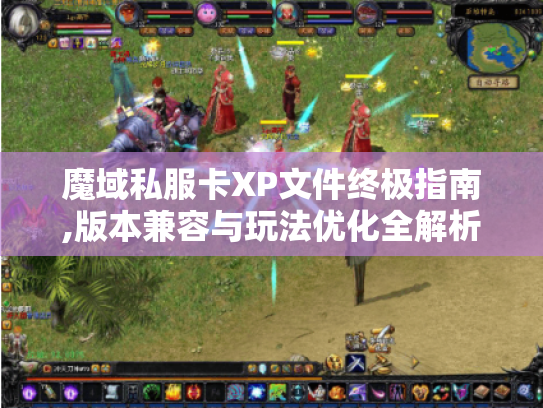 魔域私服卡XP文件终极指南,版本兼容与玩法优化全解析