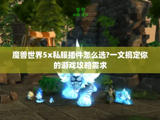魔兽世界5x私服插件怎么选?一文搞定你的游戏攻略需求