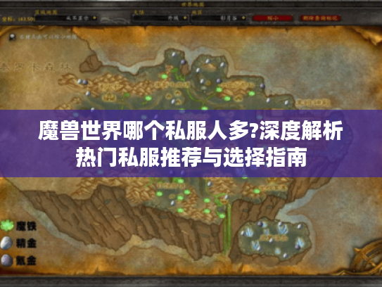 魔兽世界哪个私服人多?深度解析热门私服推荐与选择指南