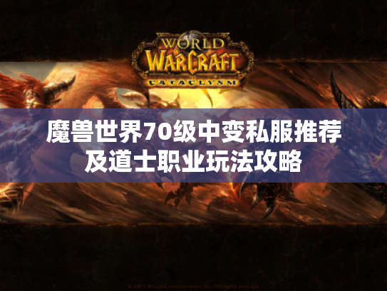 魔兽世界70级中变私服推荐及道士职业玩法攻略