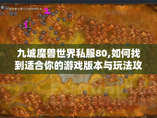九城魔兽世界私服80,如何找到适合你的游戏版本与玩法攻略?