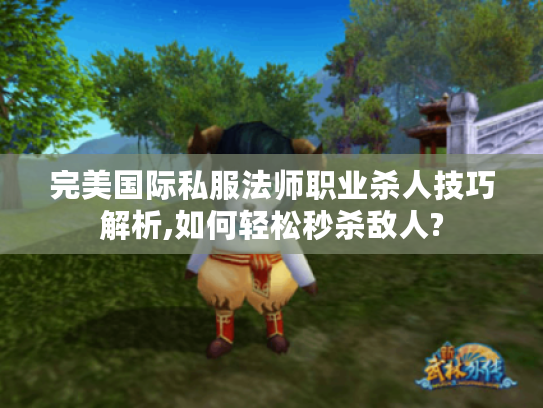 完美国际私服法师职业杀人技巧解析,如何轻松秒杀敌人?