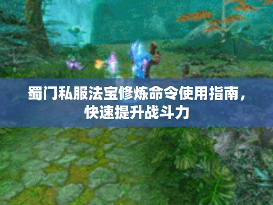 蜀门私服法宝修炼命令使用指南，快速提升战斗力