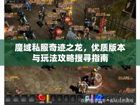 魔域私服奇迹之龙，优质版本与玩法攻略搜寻指南