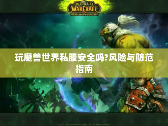 玩魔兽世界私服安全吗?风险与防范指南