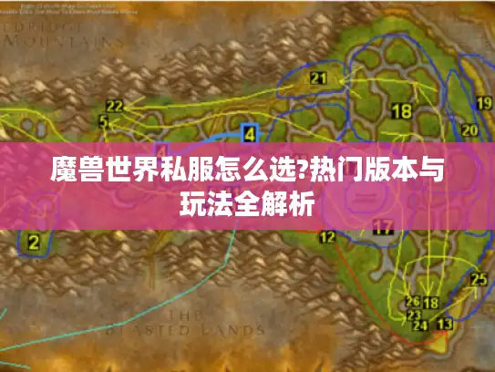 魔兽世界私服怎么选?热门版本与玩法全解析