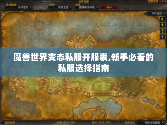 魔兽世界变态私服开服表,新手必看的私服选择指南