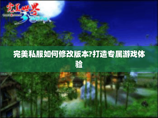 完美私服如何修改版本?打造专属游戏体验