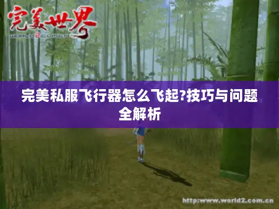完美私服飞行器怎么飞起?技巧与问题全解析