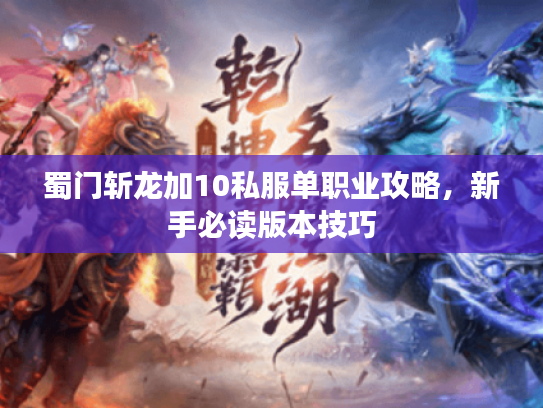 蜀门斩龙加10私服单职业攻略，新手必读版本技巧