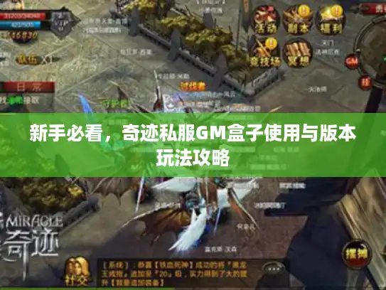 新手必看,奇迹私服GM盒子使用与版本玩法攻略 新手必看,奇迹私服GM盒子使用与版本玩法攻略