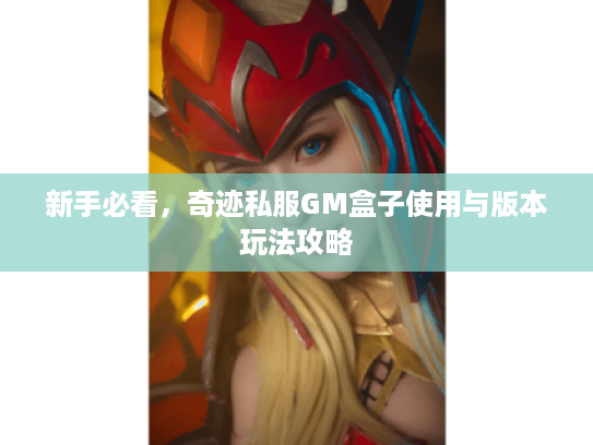新手必看,奇迹私服GM盒子使用与版本玩法攻略 新手必看,奇迹私服GM盒子使用与版本玩法攻略