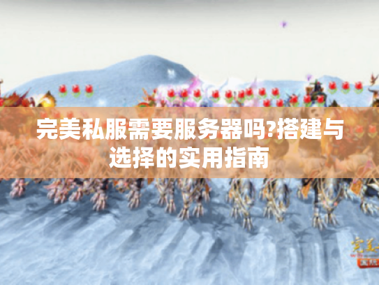 完美私服需要服务器吗?搭建与选择的实用指南