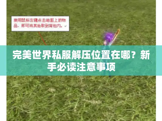 完美世界私服解压位置在哪？新手必读注意事项