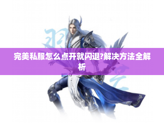 完美私服怎么点开就闪退?解决方法全解析
