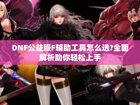 DNF公益服F辅助工具怎么选?全面解析助你轻松上手