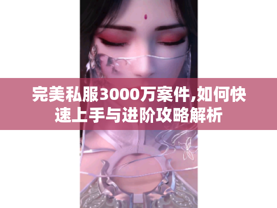 完美私服3000万案件,如何快速上手与进阶攻略解析