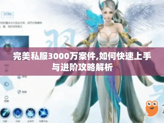 完美私服3000万案件,如何快速上手与进阶攻略解析