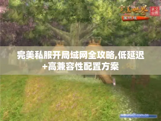 完美私服开局域网全攻略,低延迟+高兼容性配置方案