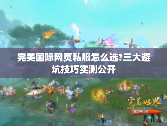 完美国际网页私服怎么选?三大避坑技巧实测公开