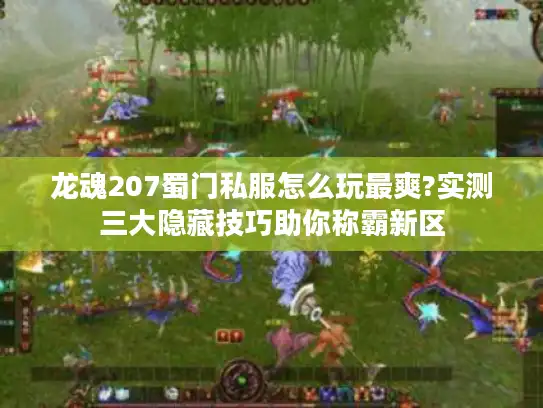 龙魂207蜀门私服怎么玩最爽?实测三大隐藏技巧助你称霸新区