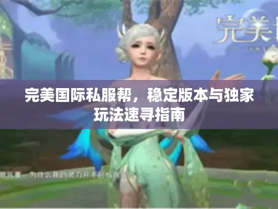 完美国际私服帮，稳定版本与独家玩法速寻指南