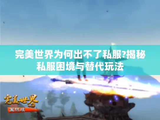 完美世界为何出不了私服?揭秘私服困境与替代玩法