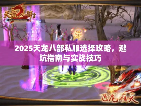 2025天龙八部私服选择攻略,避坑指南与实战技巧 2025天龙八部私服选择攻略,避坑指南与实战技巧