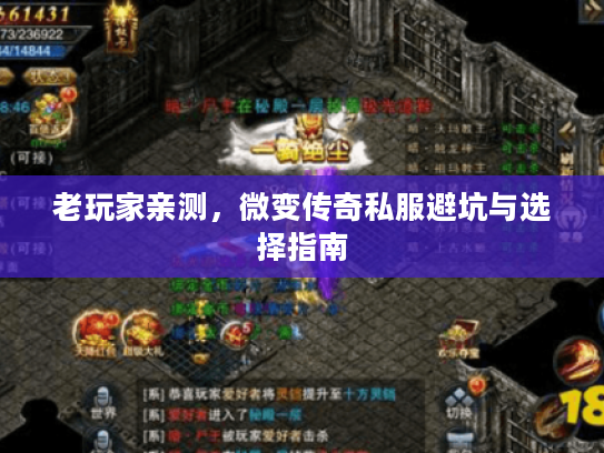 老玩家亲测，微变传奇私服避坑与选择指南