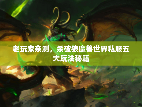 老玩家亲测，杀破狼魔兽世界私服五大玩法秘籍