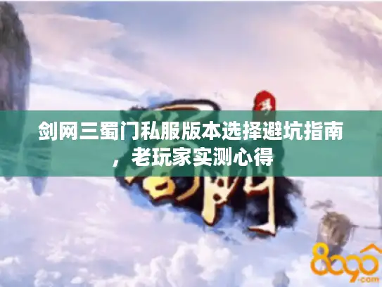 剑网三蜀门私服版本选择避坑指南，老玩家实测心得