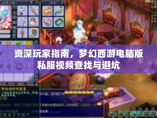 资深玩家指南，梦幻西游电脑版私服视频查找与避坑