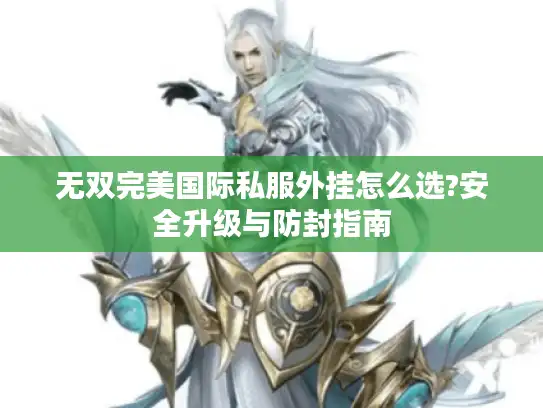 无双完美国际私服外挂怎么选?安全升级与防封指南