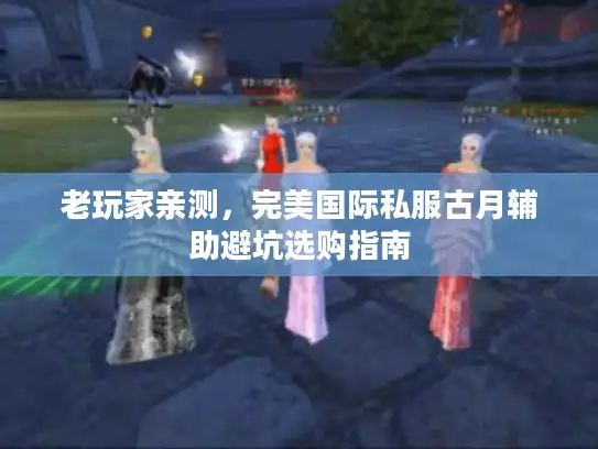 老玩家亲测，完美国际私服古月辅助避坑选购指南