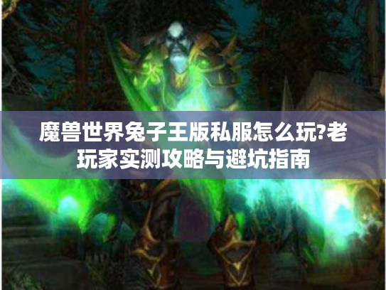 魔兽世界兔子王版私服怎么玩?老玩家实测攻略与避坑指南