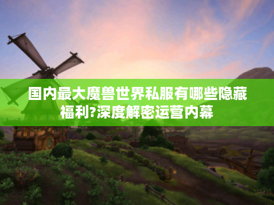 国内最大魔兽世界私服有哪些隐藏福利?深度解密运营内幕