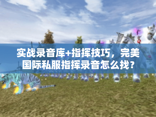 实战录音库+指挥技巧,完美国际私服指挥录音怎么找? 实战录音库+指挥技巧,完美国际私服指挥录音怎么找?