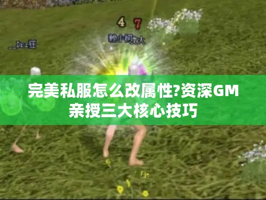 完美私服怎么改属性?资深GM亲授三大核心技巧