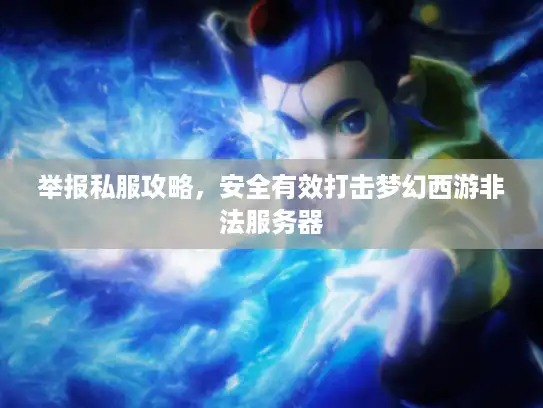 举报私服攻略,安全有效打击梦幻西游非法服务器 举报私服攻略,安全有效打击梦幻西游非法服务器