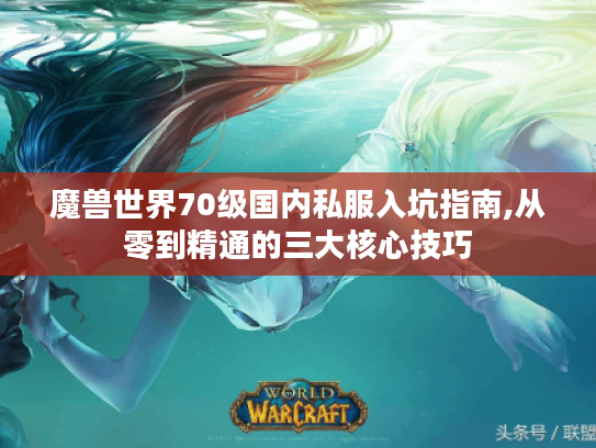 魔兽世界70级国内私服入坑指南,从零到精通的三大核心技巧