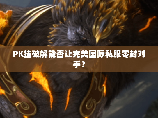 PK挂破解能否让完美国际私服零封对手？
