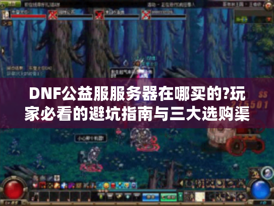 DNF公益服服务器在哪买的?玩家必看的避坑指南与三大选购渠道